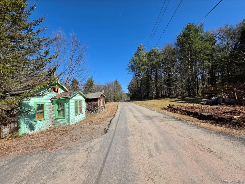 3624 State Route 55 Kauneonga Lake, NY 12720