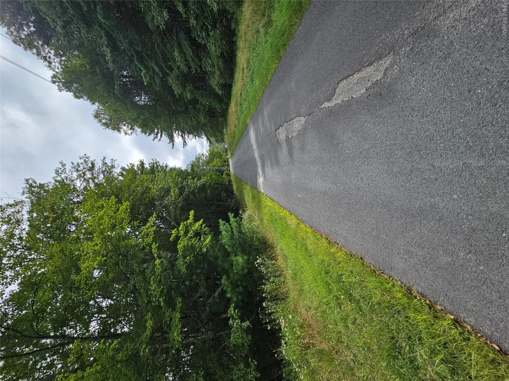 3624 State Route 55 Kauneonga Lake, NY 12720
