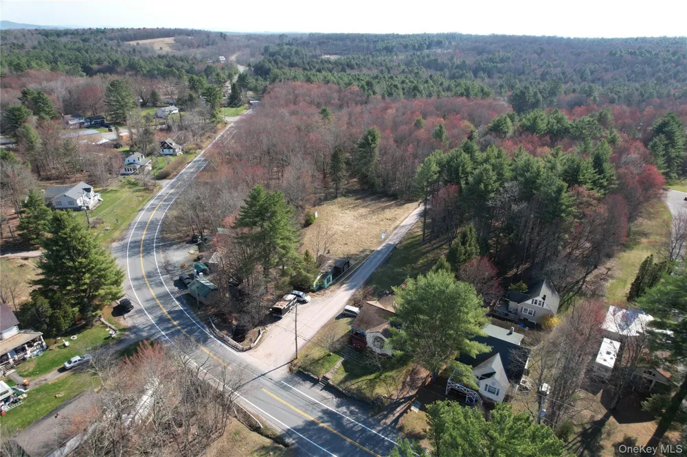 3624 State Route 55 Kauneonga Lake, NY 12720