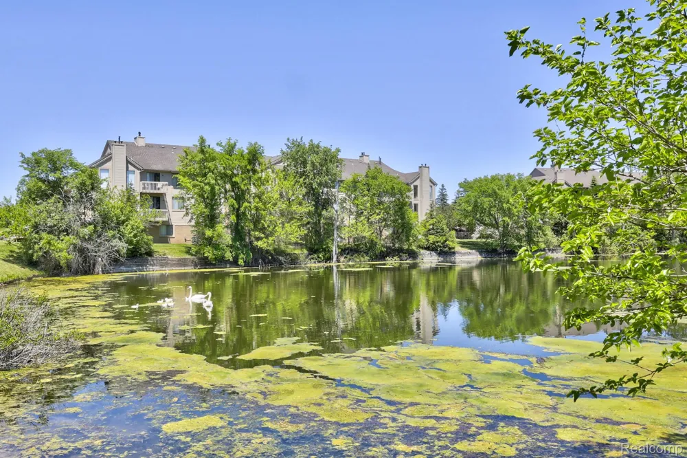 23440 Little Rapids Court #1801 Novi City, MI 48375