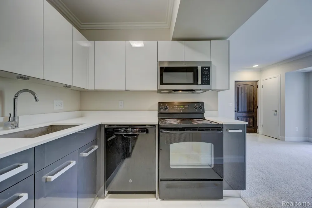 23440 Little Rapids Court #1801 Novi City, MI 48375
