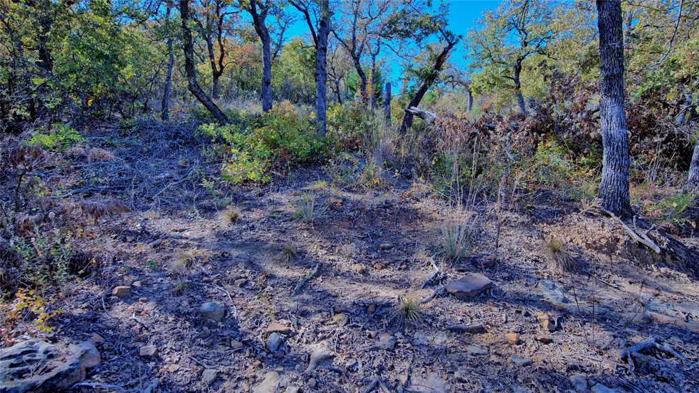 Scenic Hill Drive Bowie, TX 76230
