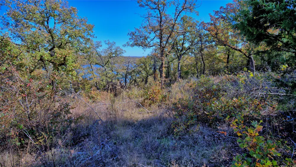 Scenic Hill Drive Bowie, TX 76230