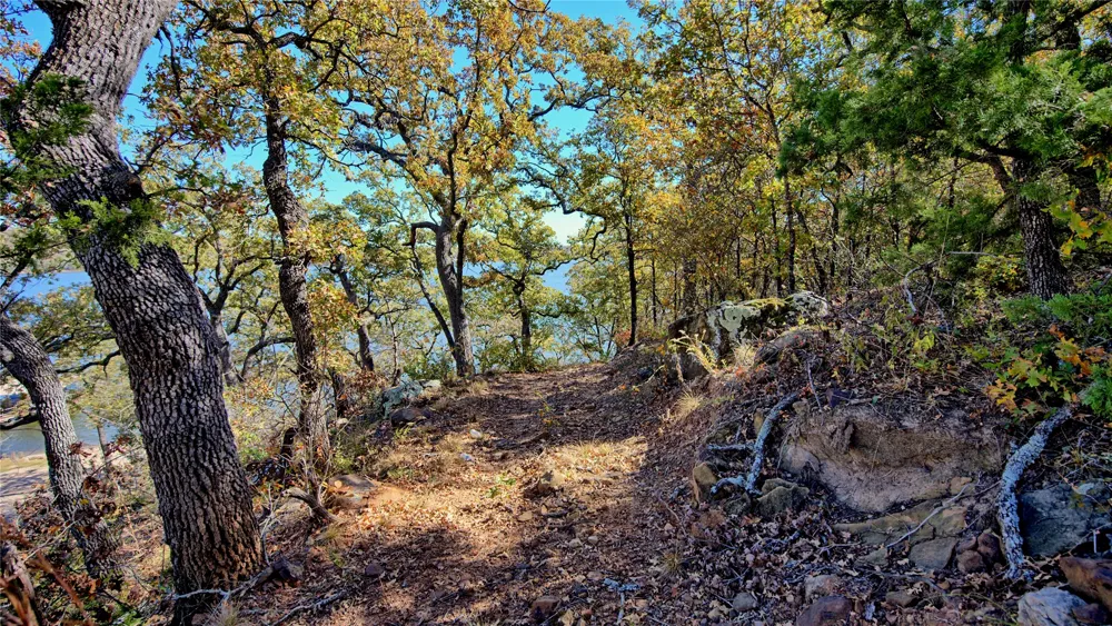 Scenic Hill Drive Bowie, TX 76230