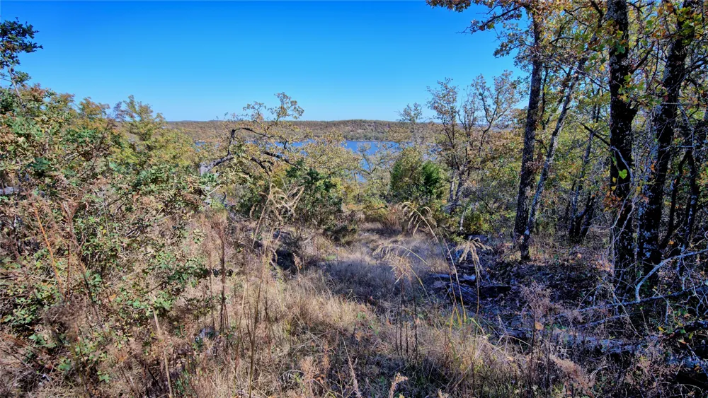 Scenic Hill Drive Bowie, TX 76230