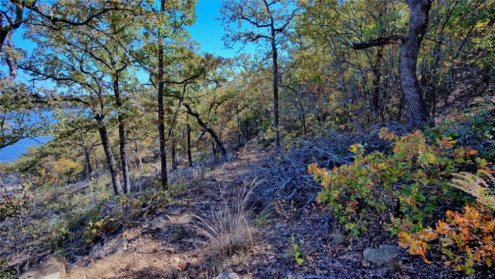 Scenic Hill Drive Bowie, TX 76230