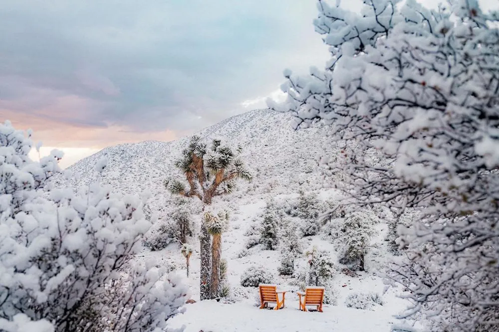 48311 Burns Canyon Rd Pioneertown, CA 92268