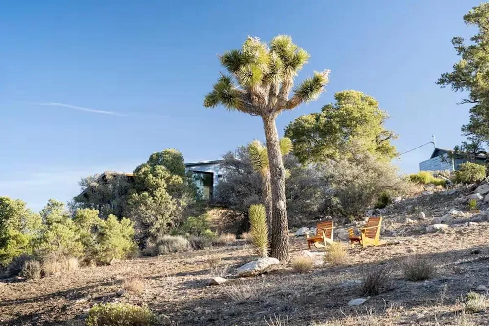 48311 Burns Canyon Rd Pioneertown, CA 92268