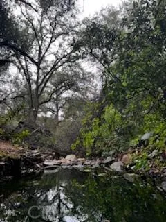 3631 Guadalupe Creek Mariposa, CA 95338
