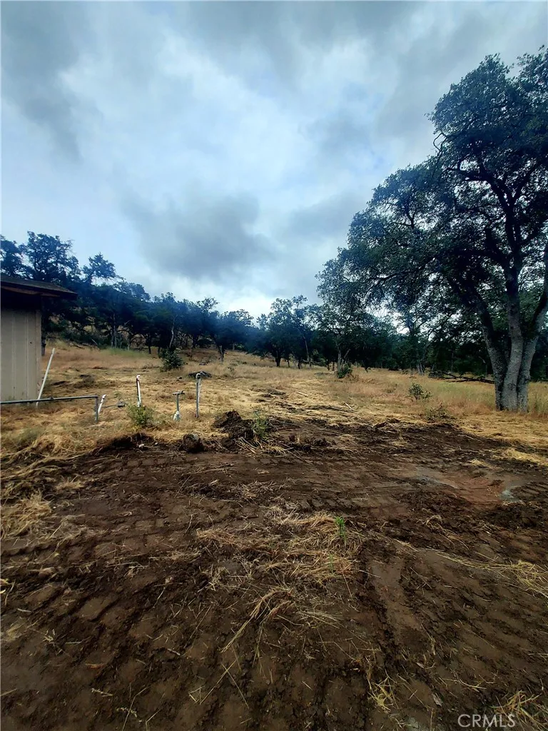 3631 Guadalupe Creek Mariposa, CA 95338