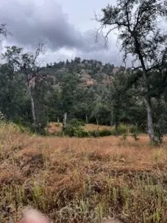 3631 Guadalupe Creek Mariposa, CA 95338