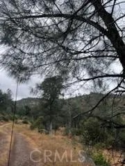 3631 Guadalupe Creek Mariposa, CA 95338