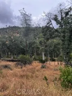 3631 Guadalupe Creek Mariposa, CA 95338