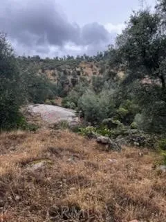 3631 Guadalupe Creek Mariposa, CA 95338