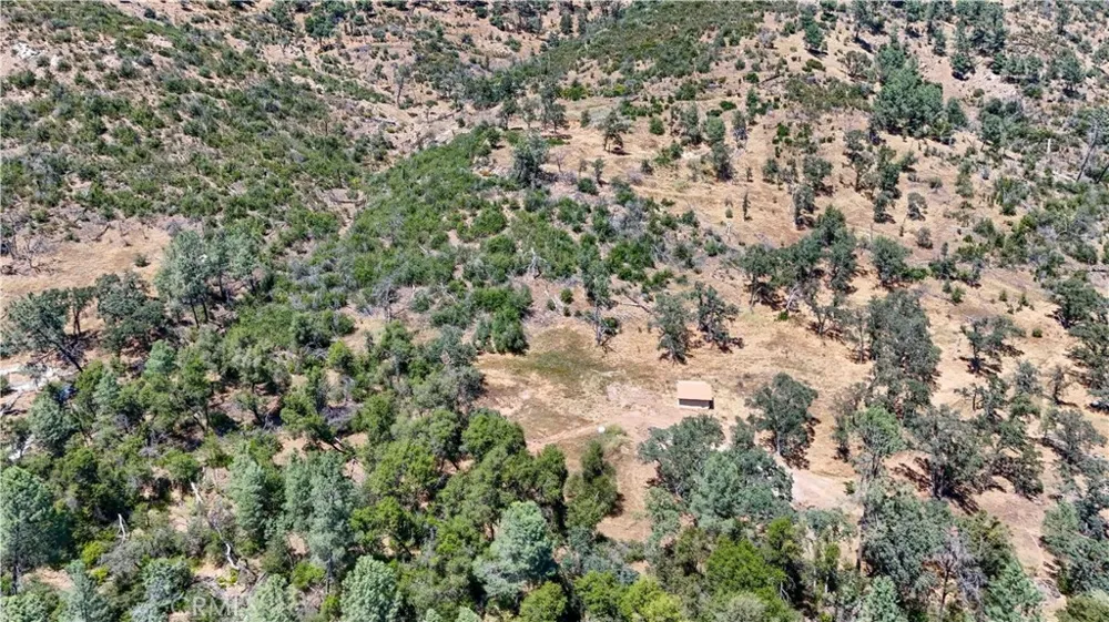 3631 Guadalupe Creek Mariposa, CA 95338