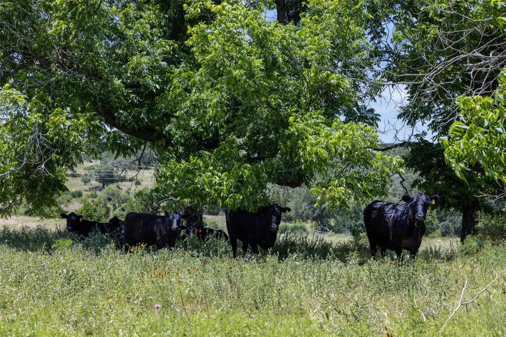 8845 Fm 2657 Briggs, TX 78608