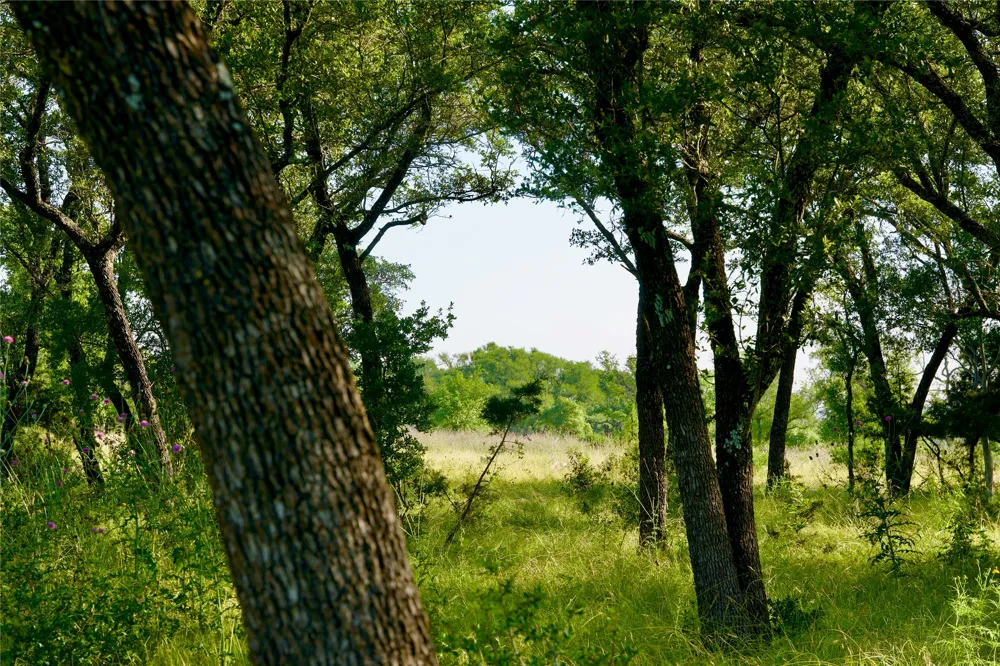 8845 Fm 2657 Briggs, TX 78608