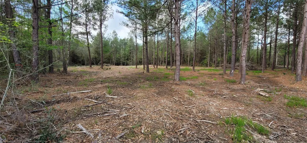 7 Blue Jay Drive Kountze, TX 77625