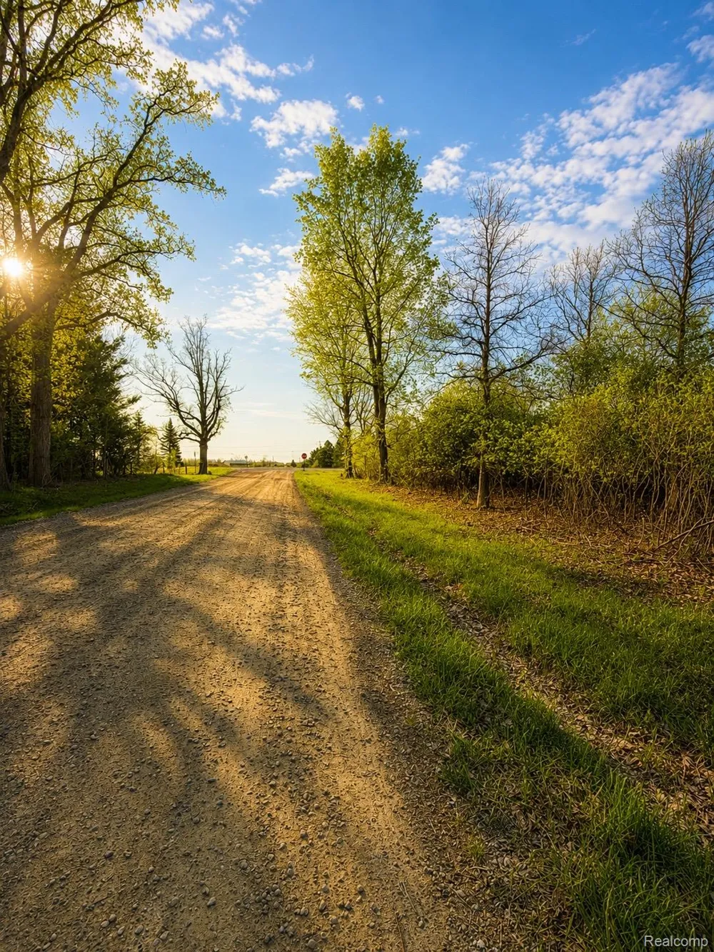 Dudley Lynn Township, MI 48416