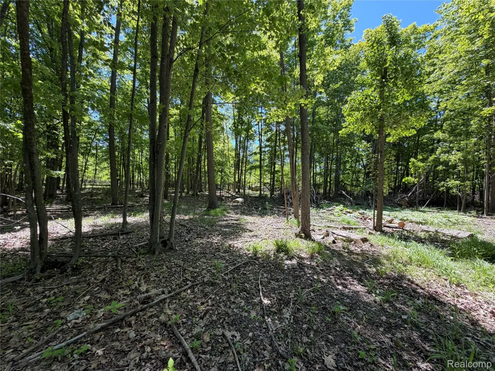 Dudley Lynn Township, MI 48416