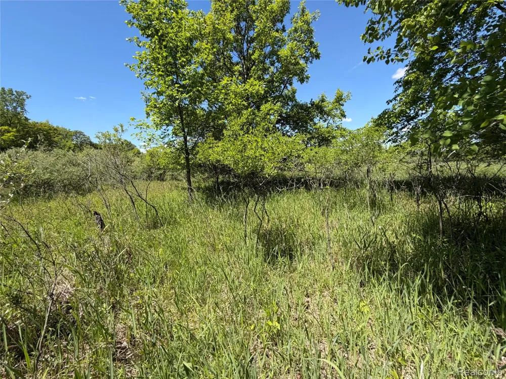 Dudley Lynn Township, MI 48416