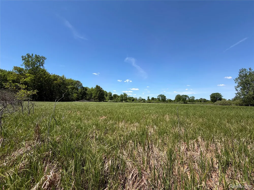 Dudley Lynn Township, MI 48416