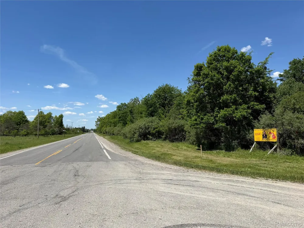 Dudley Lynn Township, MI 48416