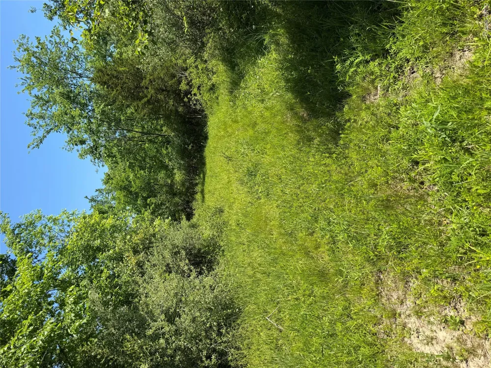 Dudley Lynn Township, MI 48416