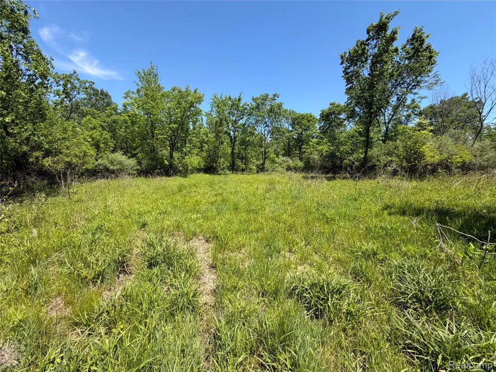 Dudley Lynn Township, MI 48416