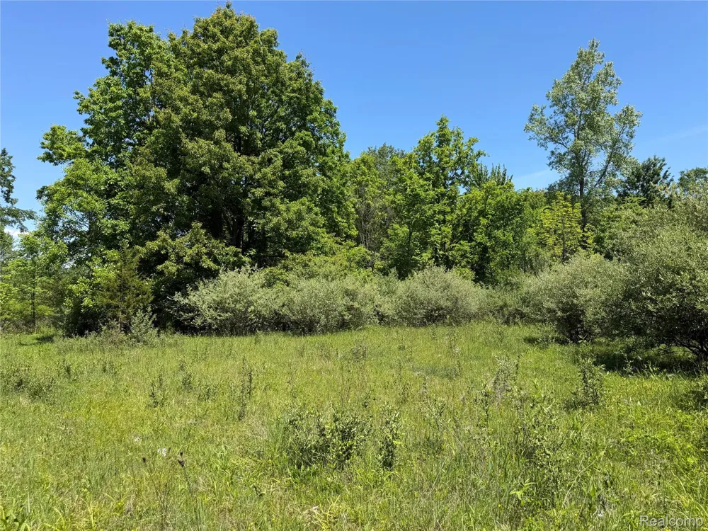 Dudley Lynn Township, MI 48416
