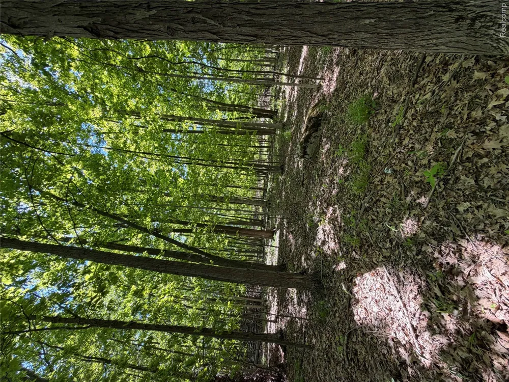 Dudley Lynn Township, MI 48416