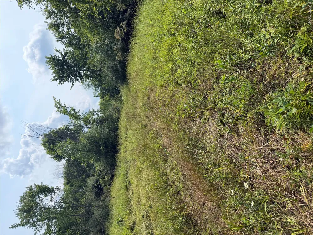 Dudley Lynn Township, MI 48416