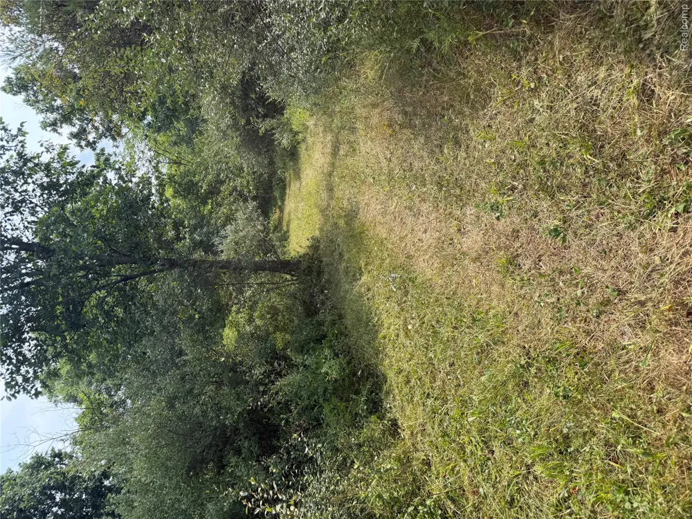 Dudley Lynn Township, MI 48416