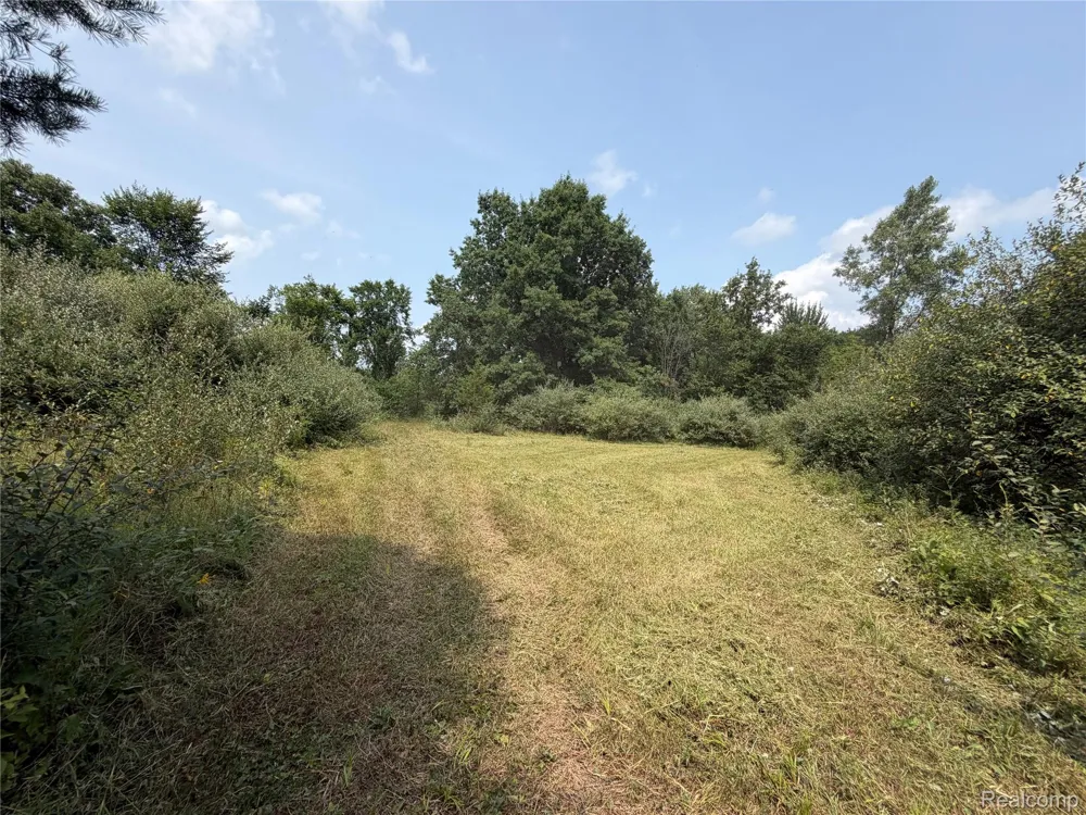 Dudley Lynn Township, MI 48416