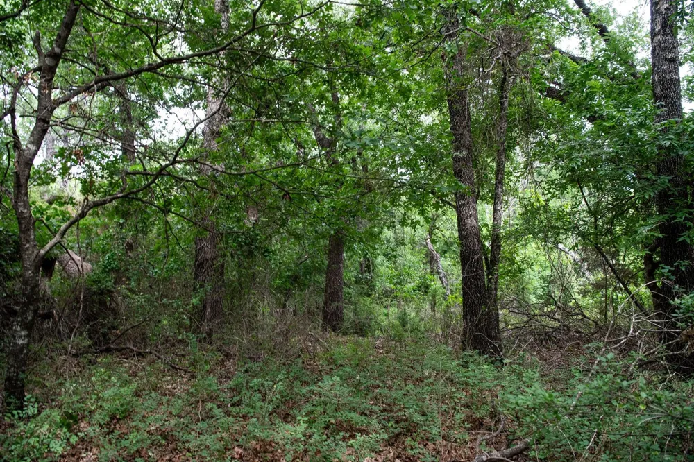 Latigo Way Weatherford, TX 76088
