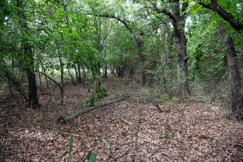 Latigo Way Weatherford, TX 76088