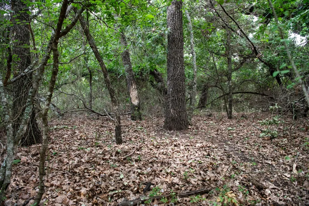 Latigo Way Weatherford, TX 76088