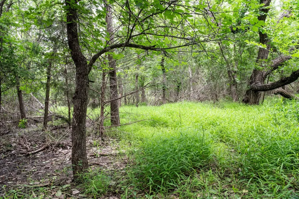 Latigo Way Weatherford, TX 76088