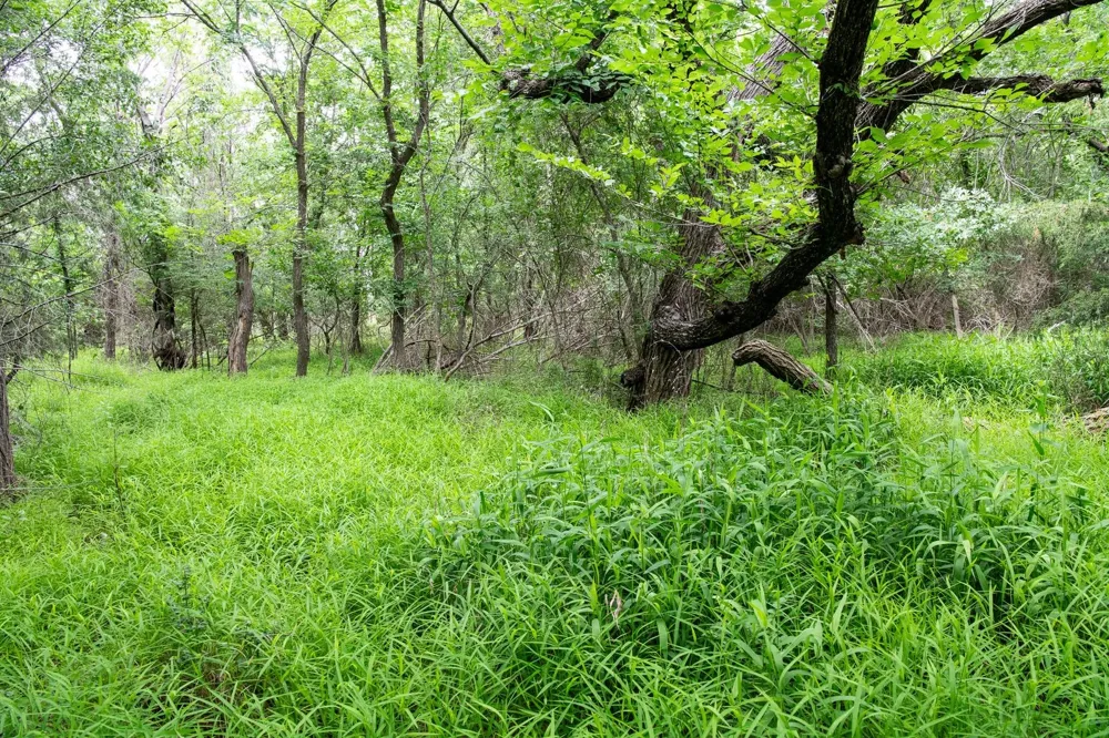 Latigo Way Weatherford, TX 76088