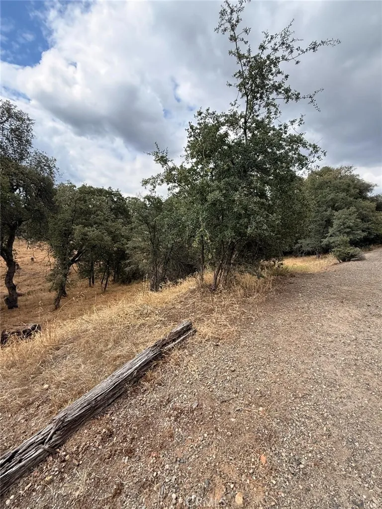 10357 Tulipan Coulterville, CA 95311