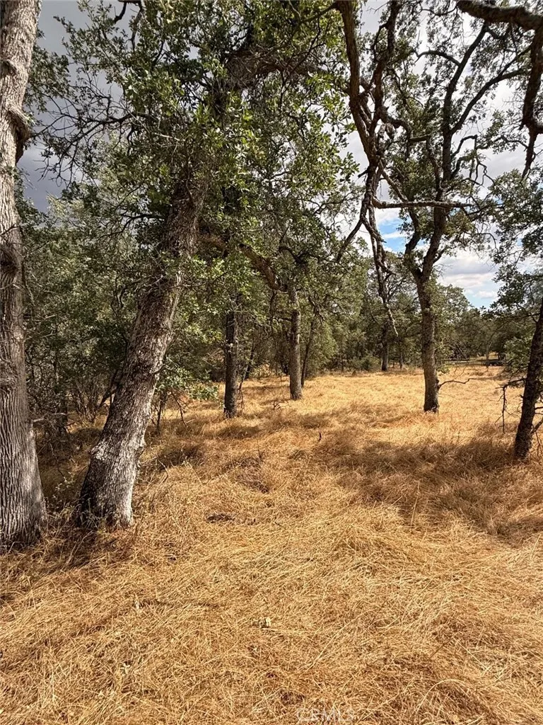 10357 Tulipan Coulterville, CA 95311