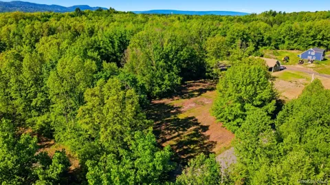 238 Bruceville Road