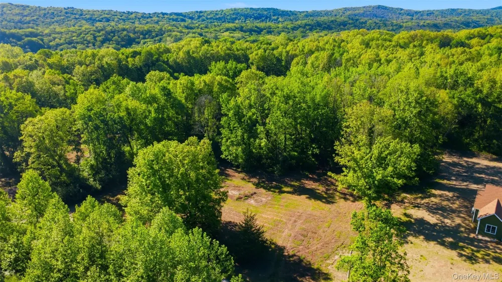 238 Bruceville Road High Falls, NY 12440