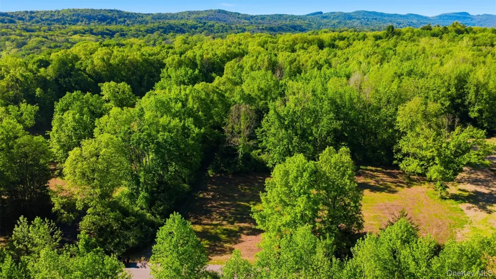 238 Bruceville Road High Falls, NY 12440