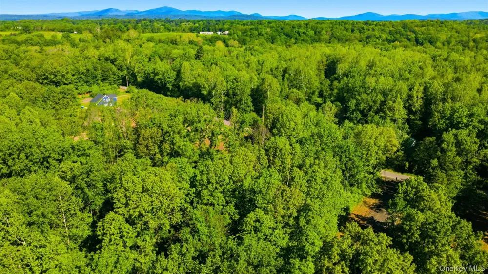 238 Bruceville Road High Falls, NY 12440