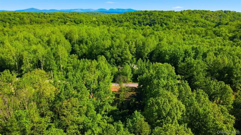 238 Bruceville Road High Falls, NY 12440