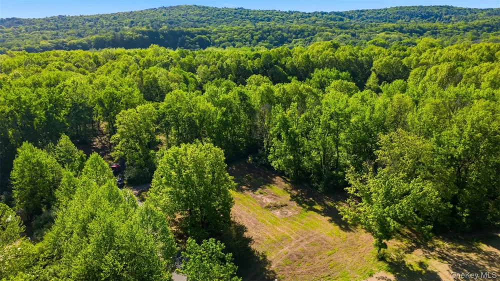 238 Bruceville Road High Falls, NY 12440