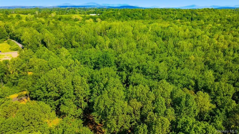238 Bruceville Road High Falls, NY 12440
