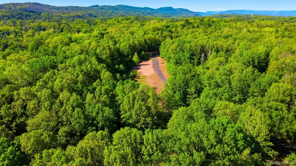 238 Bruceville Road High Falls, NY 12440
