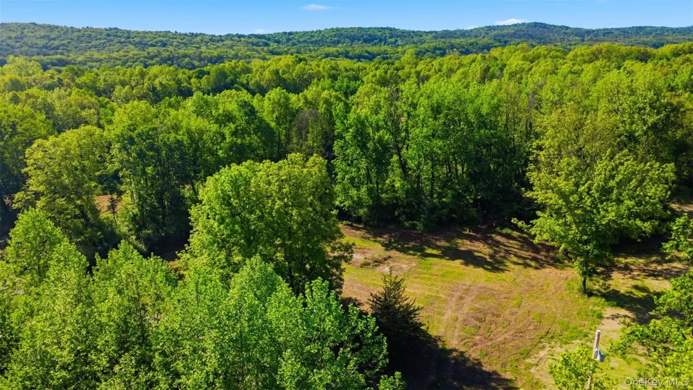 238 Bruceville Road High Falls, NY 12440